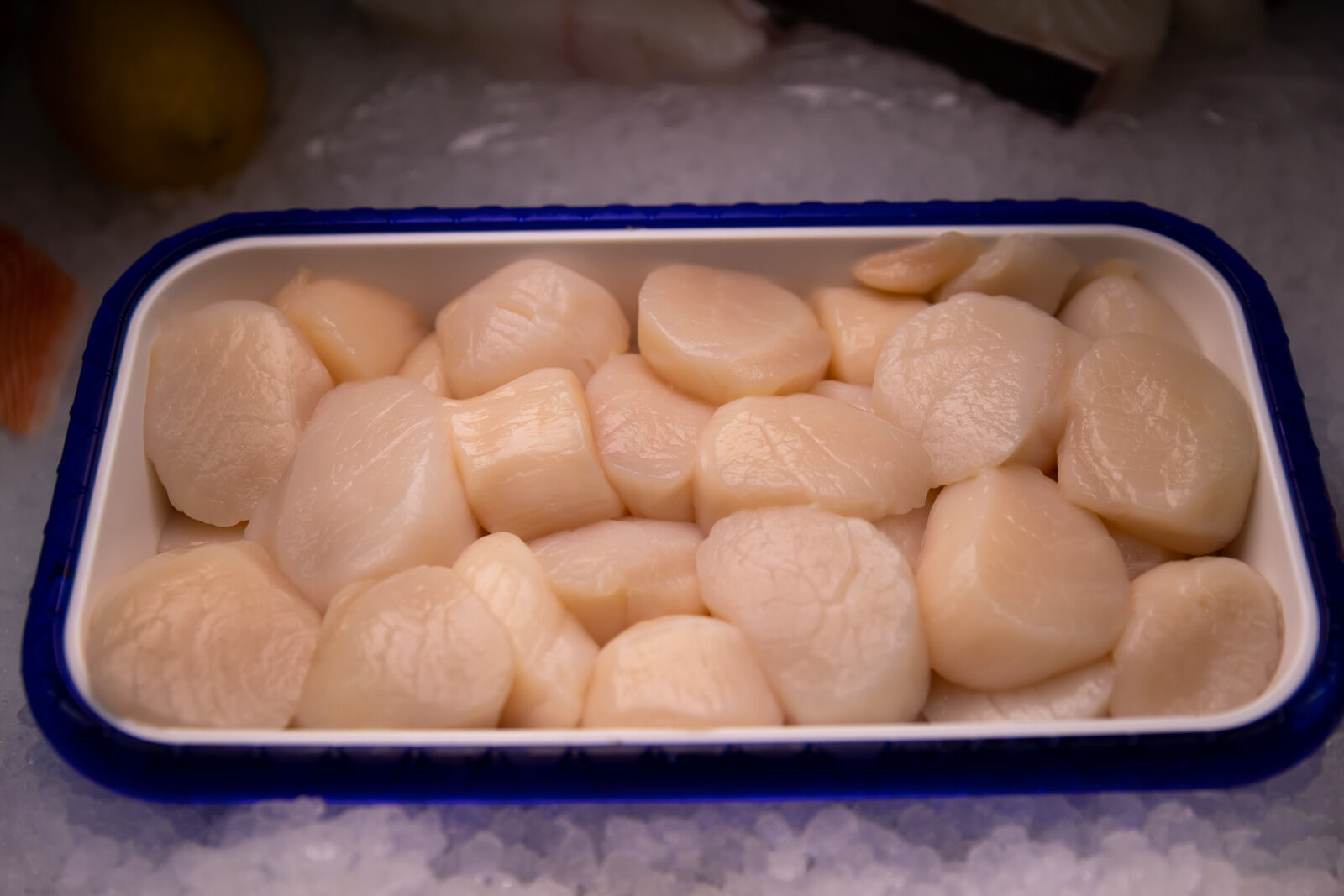 Coral Reef Seafood- Scallops.jpg